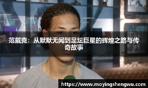 范戴克：从默默无闻到足坛巨星的辉煌之路与传奇故事
