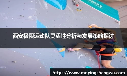西安极限运动队灵活性分析与发展策略探讨